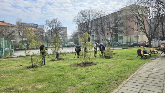 В район „Северен“ стартира пролетната залесителна кампания
